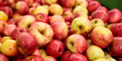 Äpfel
